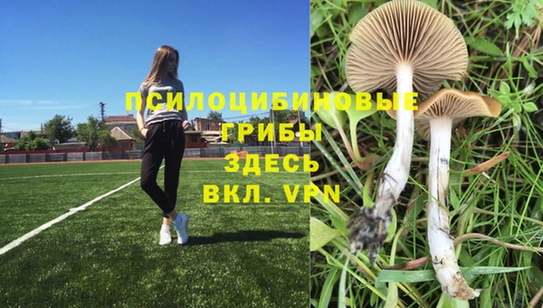 экстази Балахна