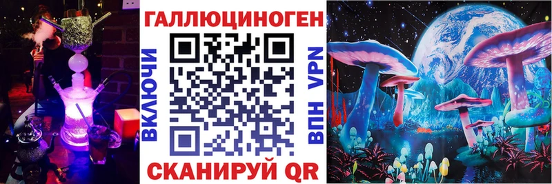 закладка  Новокубанск  Псилоцибиновые грибы мухоморы 